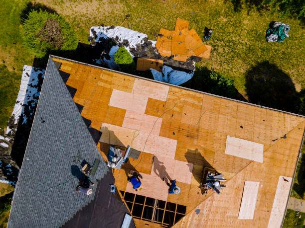 Best Roof Gutter Cleaning  in Dyersburg, TN